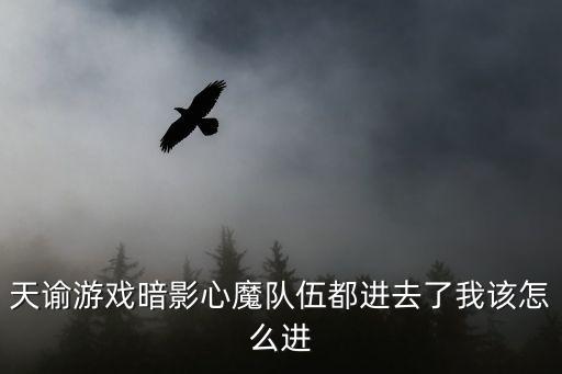 天谕游戏暗影心魔队伍都进去了我该怎么进