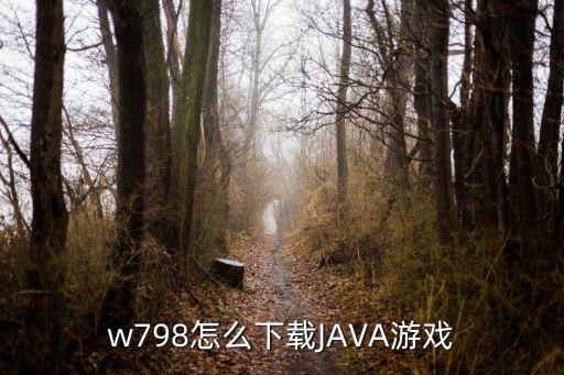 w798怎么下载JAVA游戏