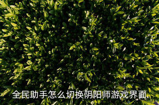 全民助手怎么切换阴阳师游戏界面