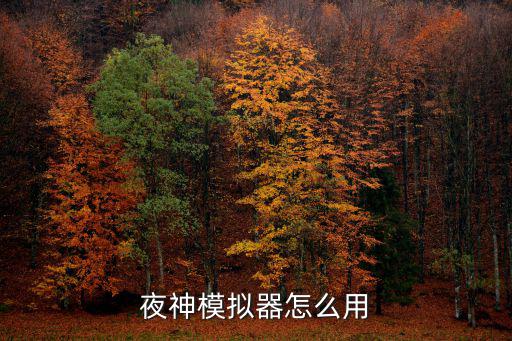 夜神模拟器怎么用