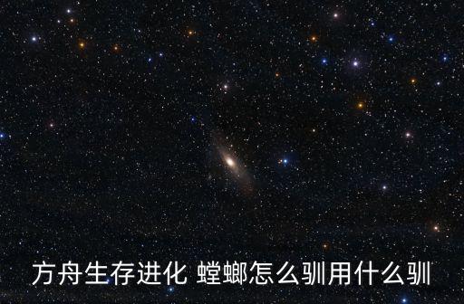 方舟生存进化 螳螂怎么驯用什么驯