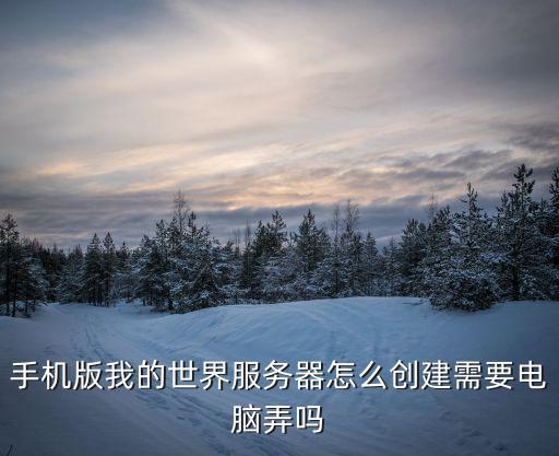 手机版我的世界服务器怎么创建需要电脑弄吗