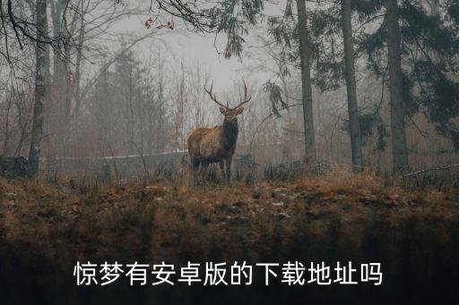 怎么玩惊梦手游，如何玩手机游戏