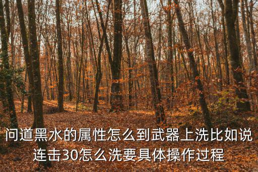 问道黑水的属性怎么到武器上洗比如说连击30怎么洗要具体操作过程