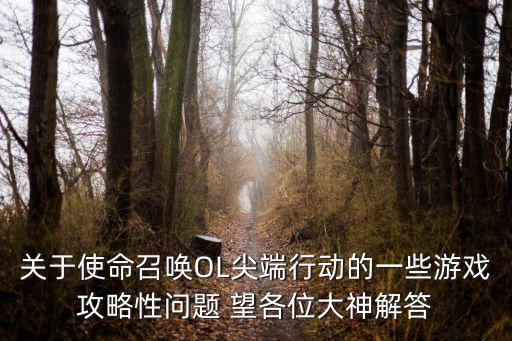 使命召唤手游大师菜鸡怎么玩，使命召唤手游国际服怎么换第三人称视频