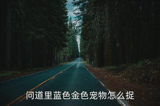 问道里蓝色金色宠物怎么捉