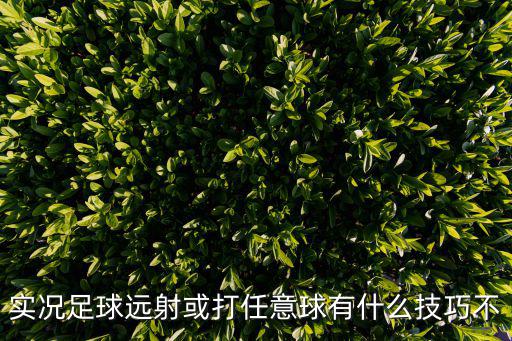 实况足球远射或打任意球有什么技巧不