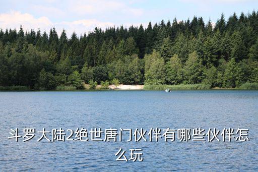 斗罗大陆2绝世唐门伙伴有哪些伙伴怎么玩