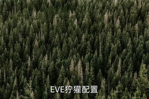 eve手游宁獾怎么配，EVE求平民狞獾级配置