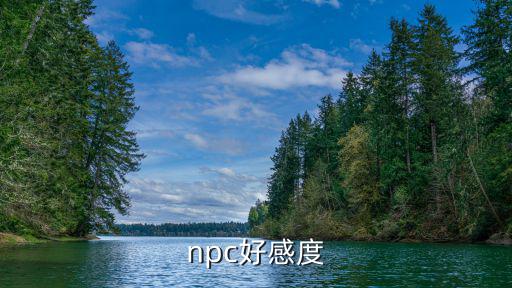 npc好感度