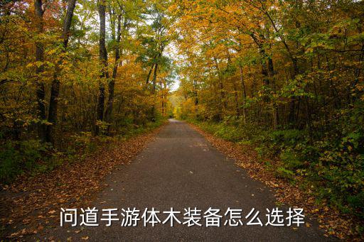 问道手游体木装备怎么选择