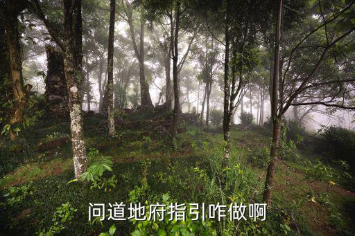 问道地府指引咋做啊