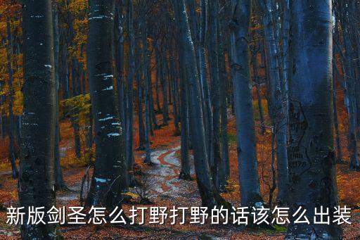 新版剑圣怎么打野打野的话该怎么出装