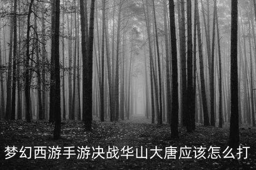 梦幻手游普陀怎么打大唐，梦幻西游手游大唐怎么过秘境无救使