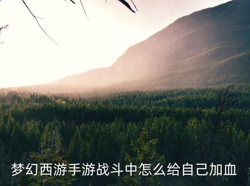 梦幻手游血量怎么提升，梦幻西游手游组队中怎么加血