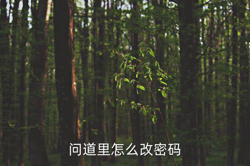 问道里怎么改密码