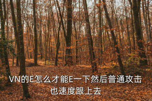 VN的E怎么才能E一下然后普通攻击也速度跟上去