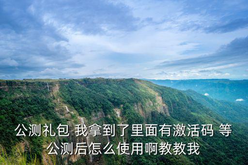 公测礼包 我拿到了里面有激活码 等公测后怎么使用啊教教我