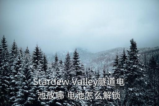 Stardew Valley隧道电池放哪 电池怎么解锁
