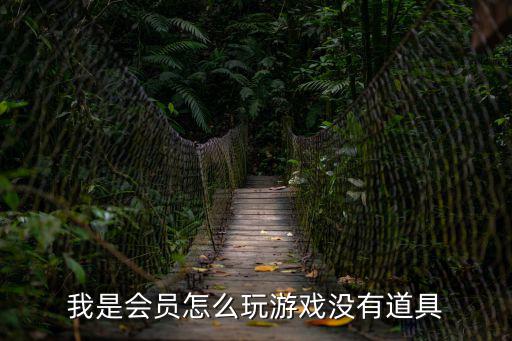 我是会员怎么玩游戏没有道具