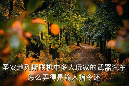 圣安地列斯联机中多人玩家的武器汽车怎么弄得是输入指令还