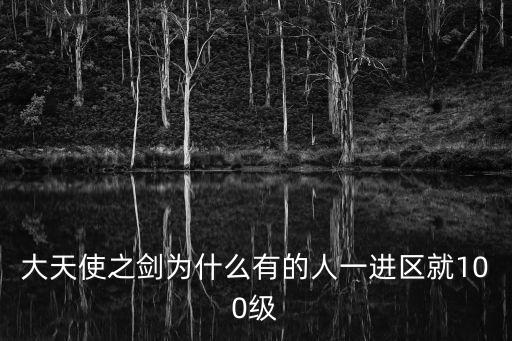 大天使之剑为什么有的人一进区就100级
