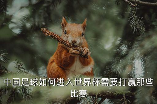 中国足球如何进入世界杯需要打赢那些比赛