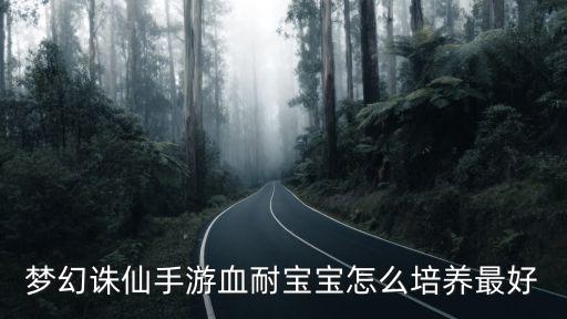 梦幻诛仙手游血耐宝宝怎么培养最好