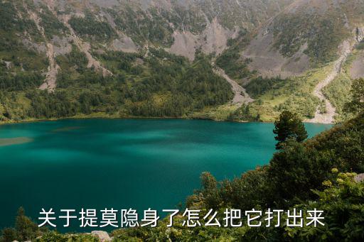 关于提莫隐身了怎么把它打出来
