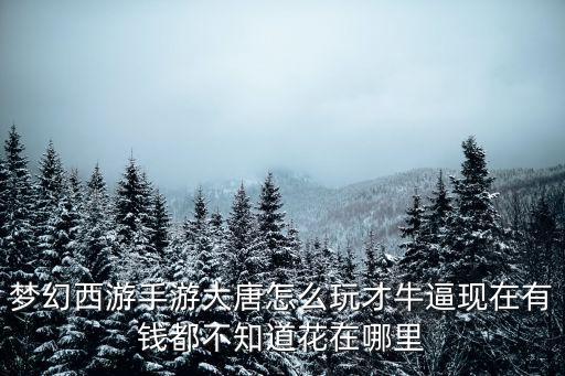 梦幻西游手游大唐怎么玩才牛逼现在有钱都不知道花在哪里