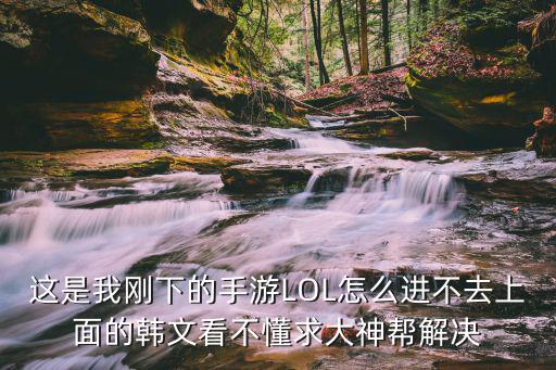 这是我刚下的手游LOL怎么进不去上面的韩文看不懂求大神帮解决