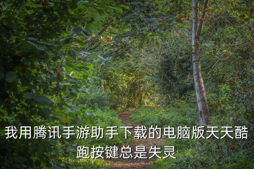 我用腾讯手游助手下载的电脑版天天酷跑按键总是失灵
