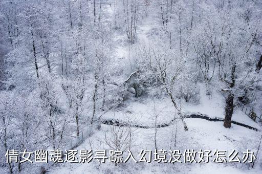 倩女幽魂逐影寻踪入幻境没做好怎么办