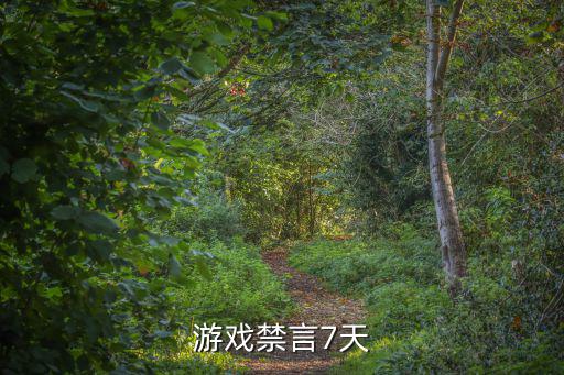游戏禁言7天