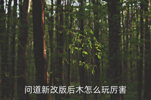 问道新改版后木怎么玩厉害