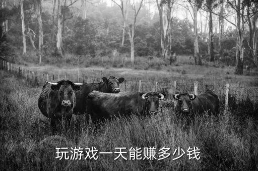 玩游戏一天能赚多少钱