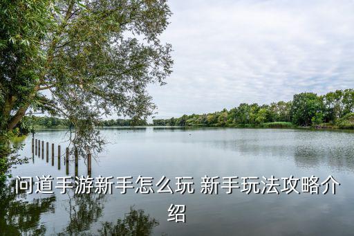 问道手游暗月怎么打图，问道游戏里怎么发属性图