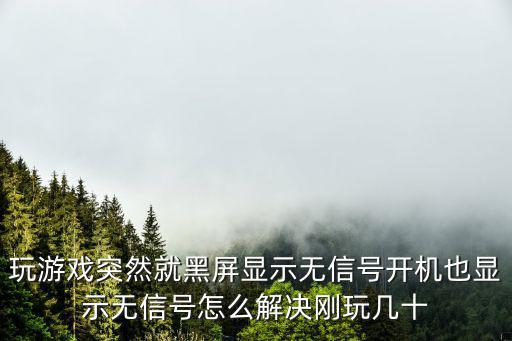 玩游戏突然就黑屏显示无信号开机也显示无信号怎么解决刚玩几十