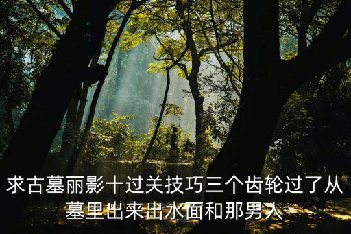 手游古墓丽影乱石滚滚怎么过，有谁玩过古墓丽影的游戏怎么过关