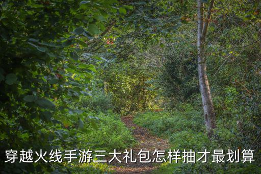 穿越火线手游三大礼包怎样抽才最划算