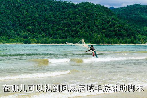 在哪儿可以找到风暴魔域手游辅助脚本