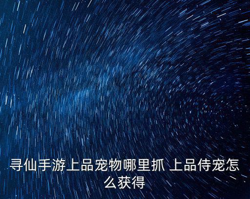寻仙手游上品宠物哪里抓 上品侍宠怎么获得