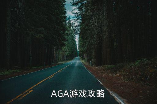 AGA游戏攻略