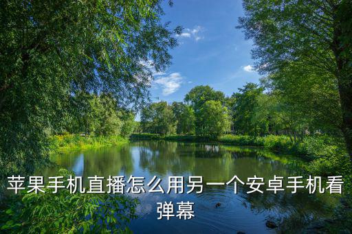 苹果手机直播怎么用另一个安卓手机看弹幕