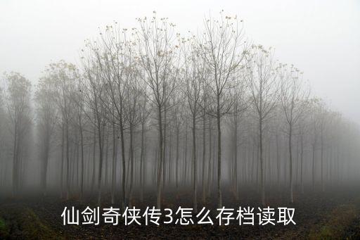 仙剑奇侠传3怎么存档读取