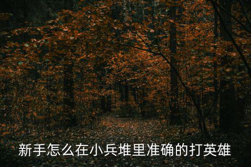 新手怎么在小兵堆里准确的打英雄