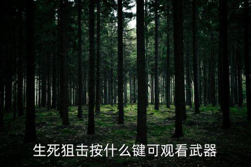 生死狙击手游直播怎么看，生死狙击怎么看消息记录