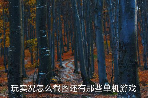 玩实况怎么截图还有那些单机游戏