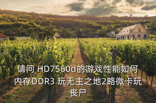 请问 HD7560d的游戏性能如何内存DDR3 玩无主之地2略微卡玩丧尸