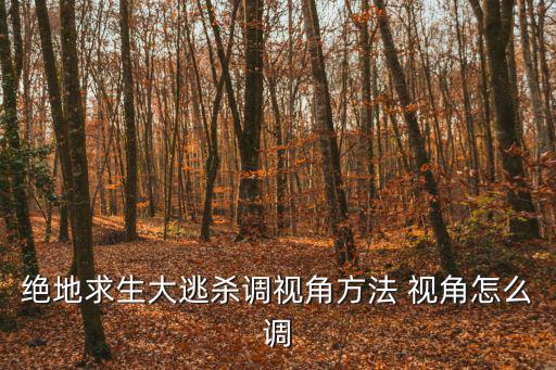 绝地求生大逃杀调视角方法 视角怎么调